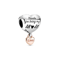 Charm Pandora Donna Pandora Moments in Argento 788830C00 - 788830C00